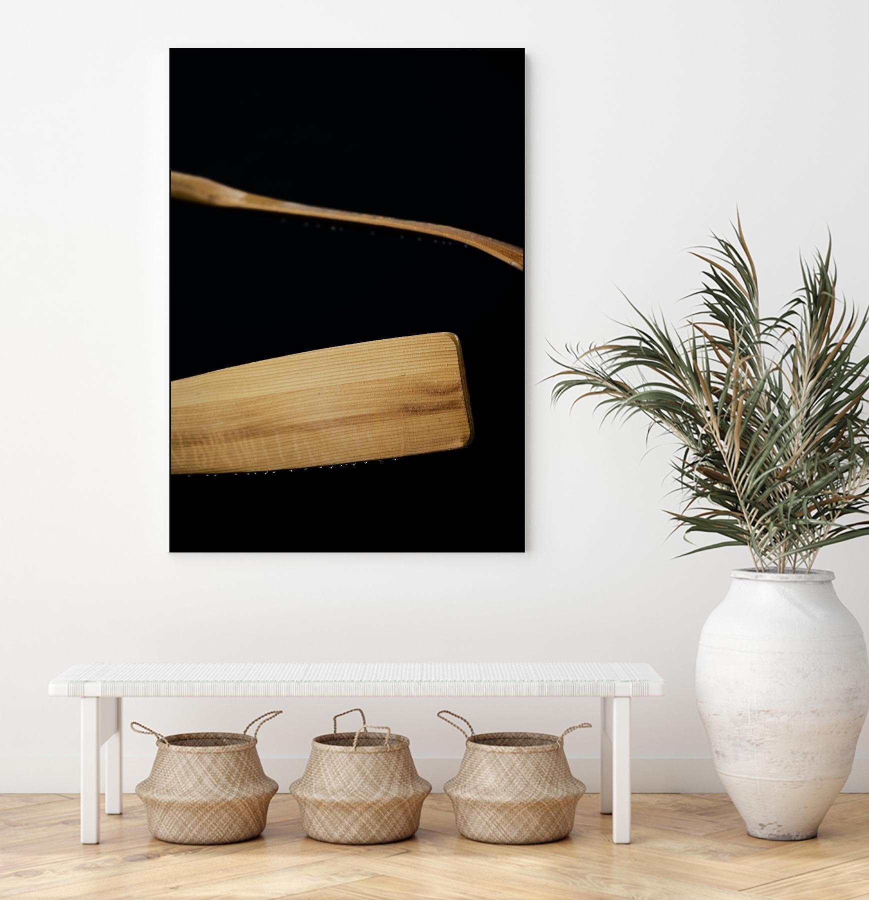 Paddles III by Melissa McClain on GIANT ART - beige photo art