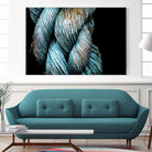 Ties that Bind by Melissa McClain on GIANT ART - black photo art