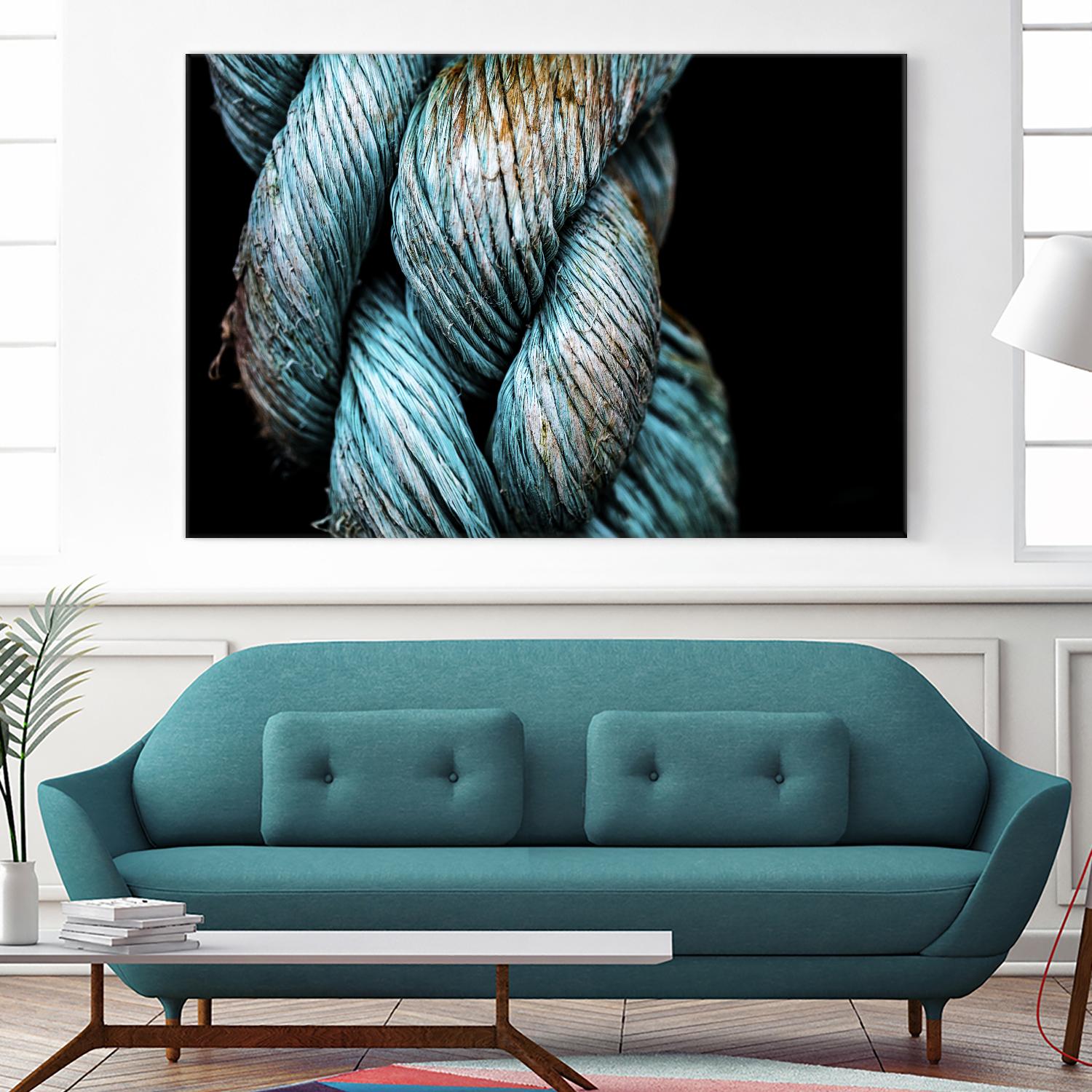 Ties that Bind by Melissa McClain on GIANT ART - black photo art