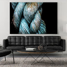 Ties that Bind by Melissa McClain on GIANT ART - black photo art