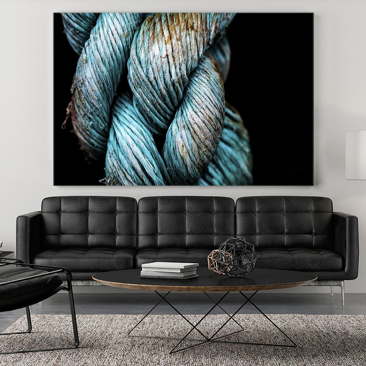 Ties that Bind by Melissa McClain on GIANT ART - black photo art
