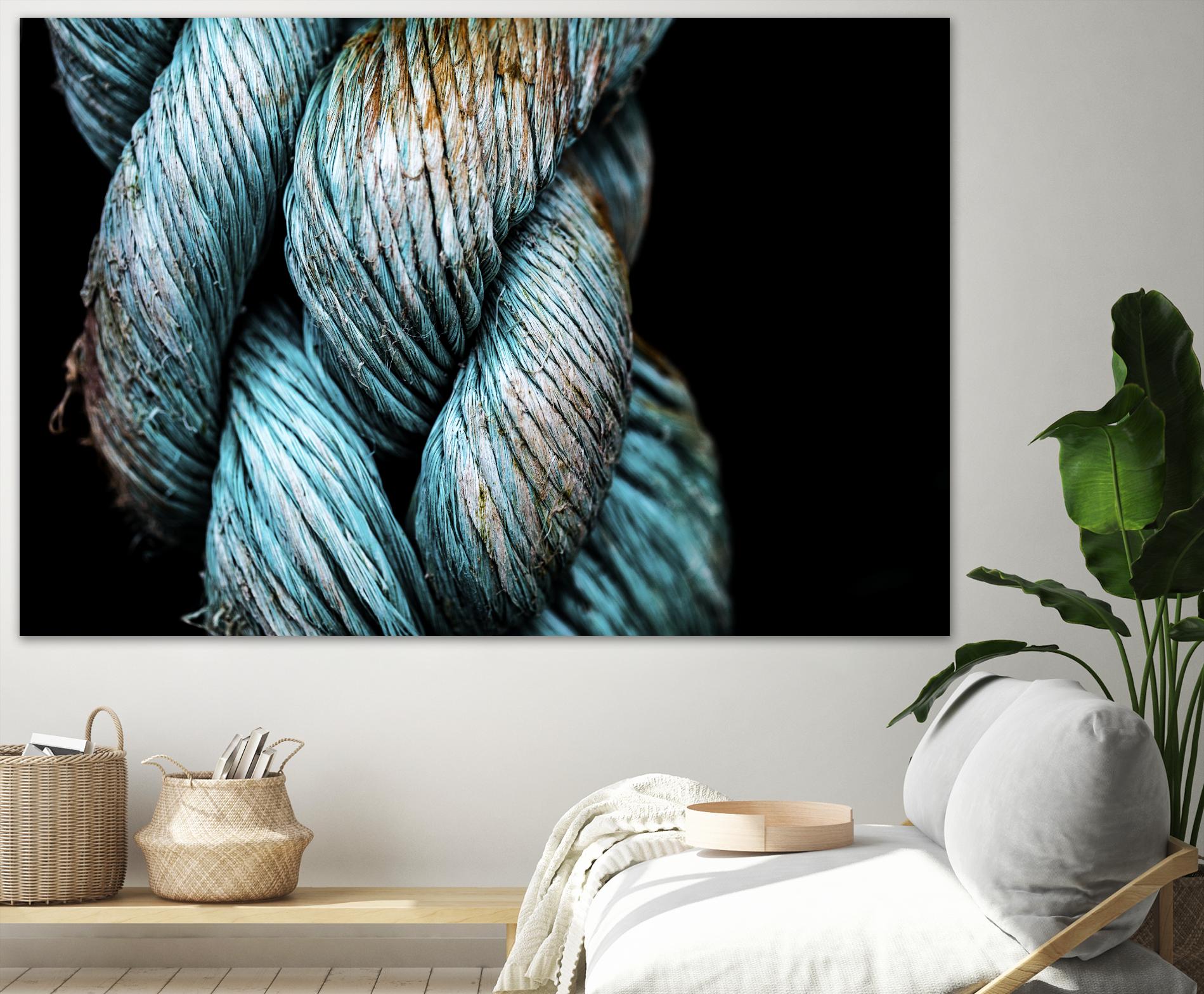 Ties that Bind by Melissa McClain on GIANT ART - black photo art