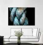 Ties that Bind by Melissa McClain on GIANT ART - black photo art