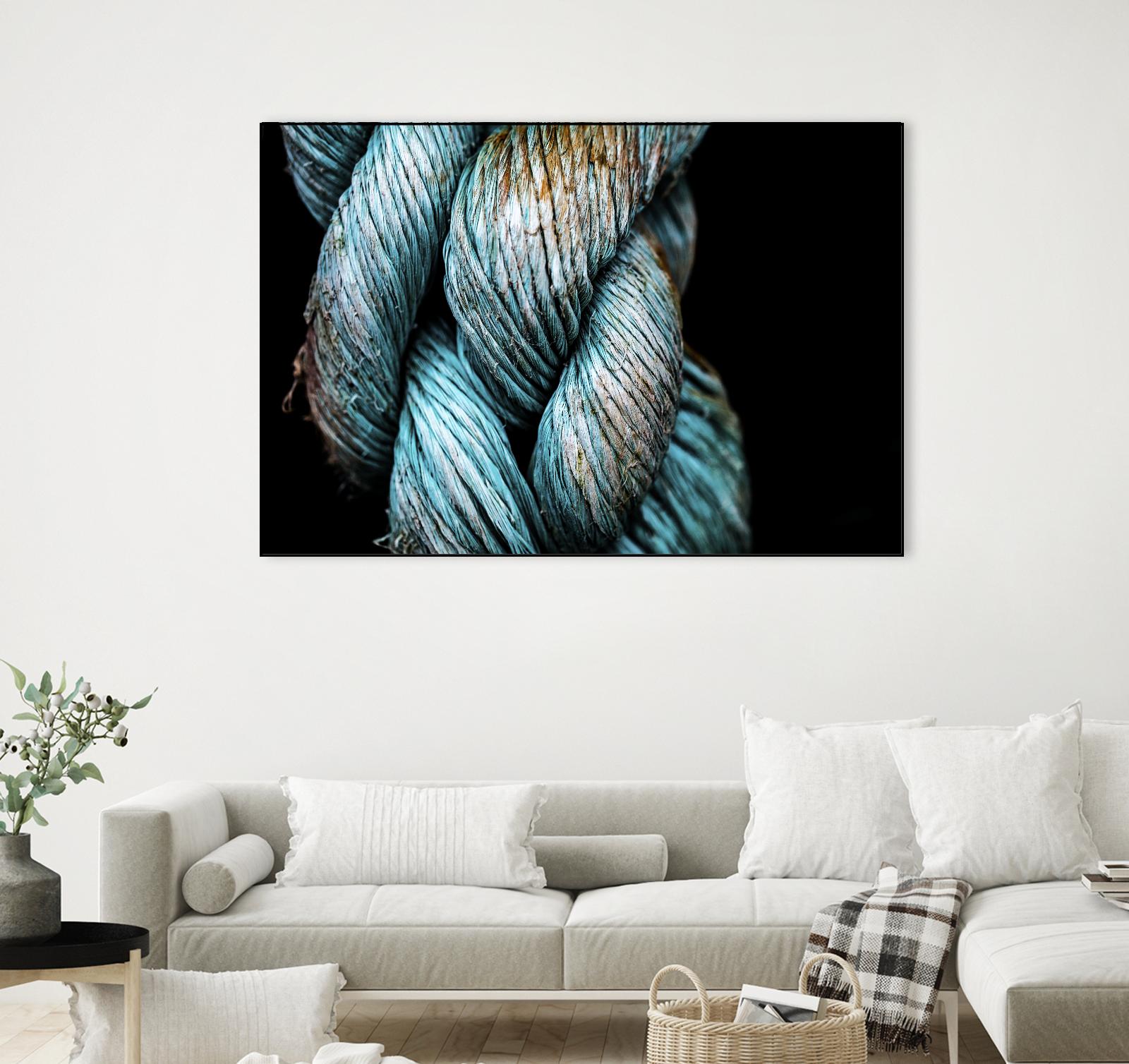 Ties that Bind by Melissa McClain on GIANT ART - black photo art