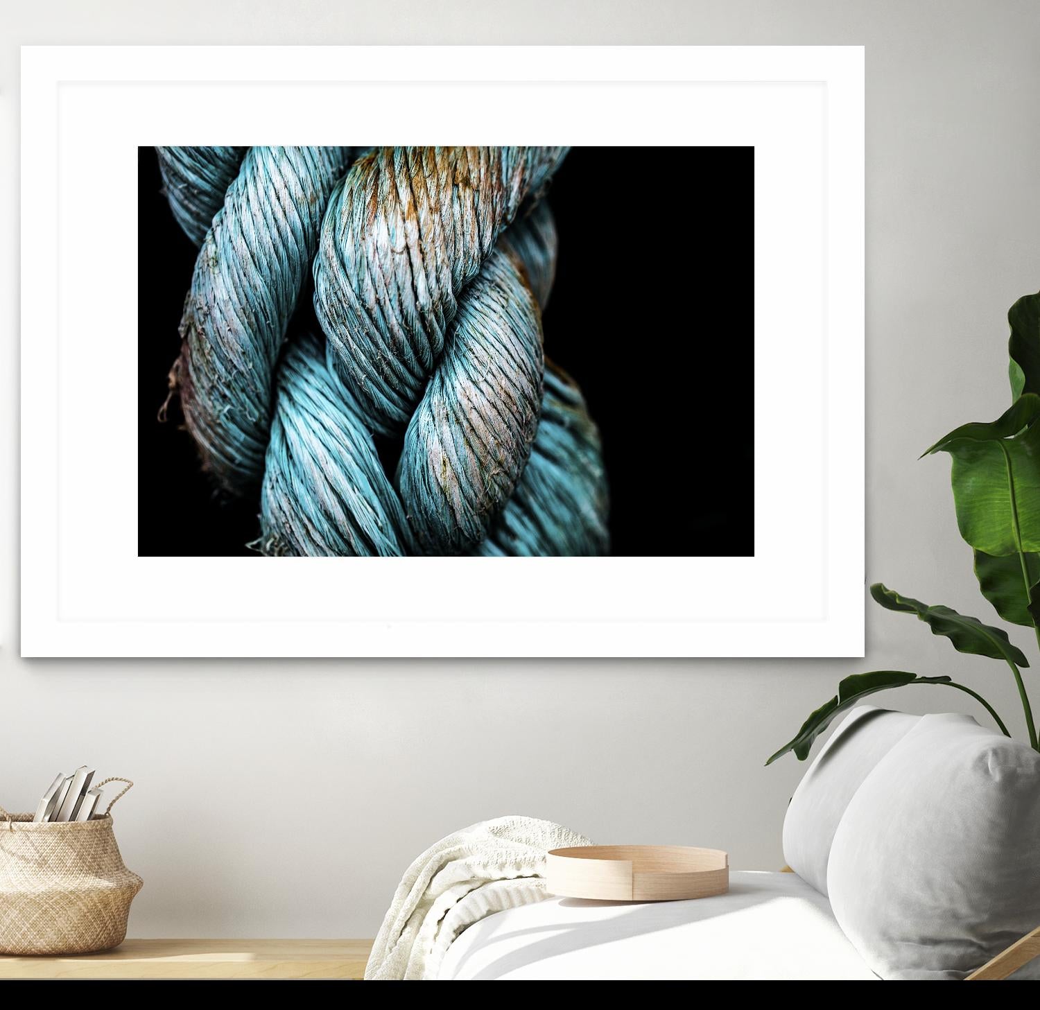 Ties that Bind by Melissa McClain on GIANT ART - black photo art