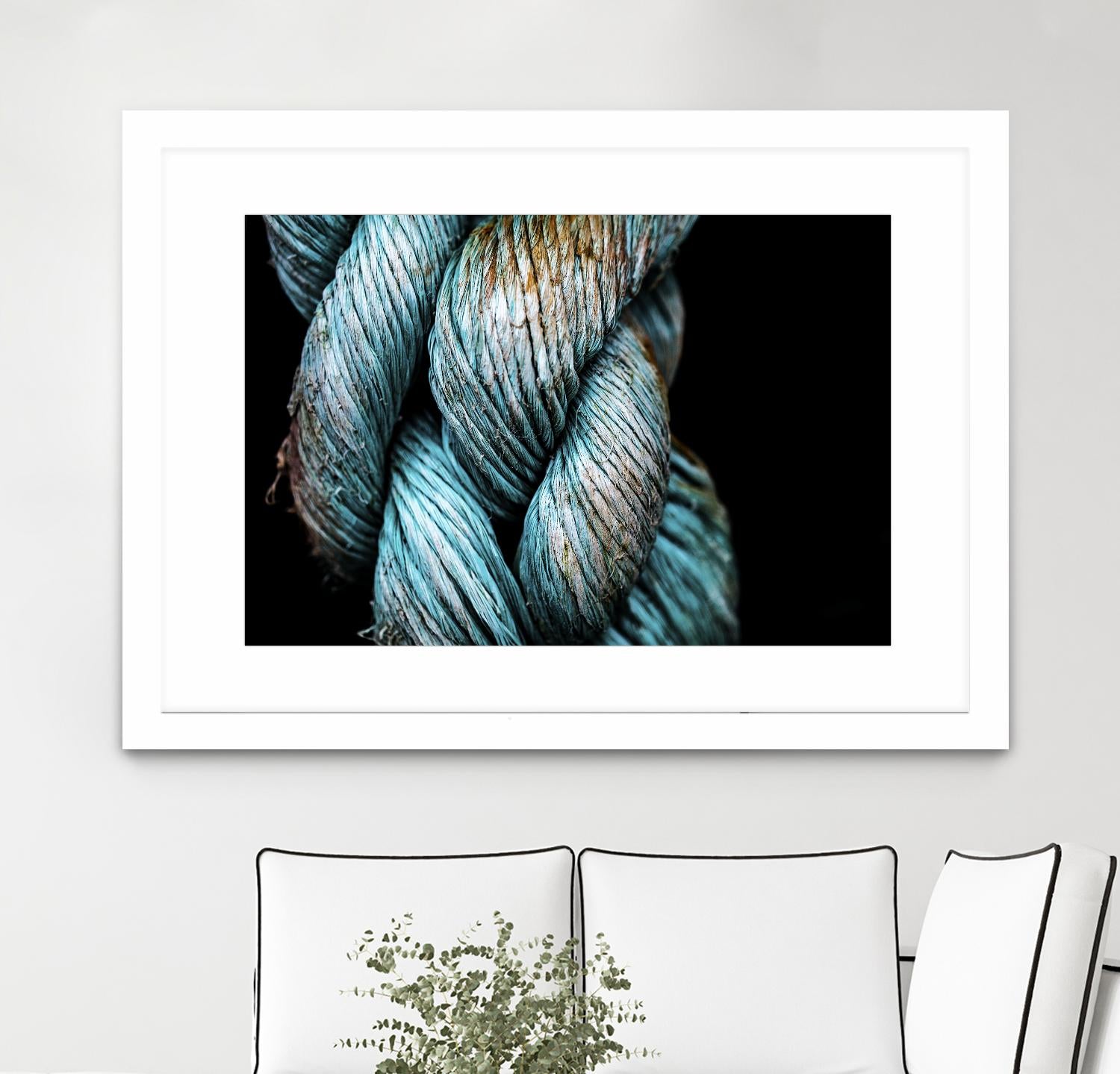 Ties that Bind by Melissa McClain on GIANT ART - black photo art