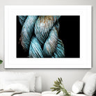 Ties that Bind by Melissa McClain on GIANT ART - black photo art