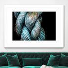 Ties that Bind by Melissa McClain on GIANT ART - black photo art