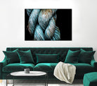 Ties that Bind by Melissa McClain on GIANT ART - black photo art