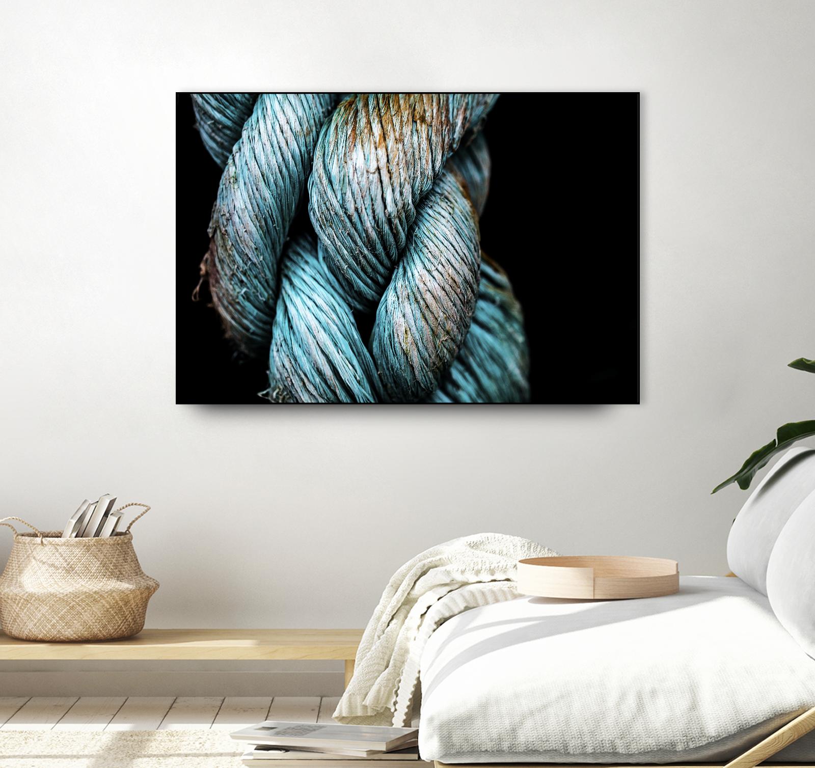 Ties that Bind by Melissa McClain on GIANT ART - black photo art