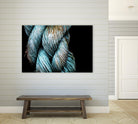 Ties that Bind by Melissa McClain on GIANT ART - black photo art