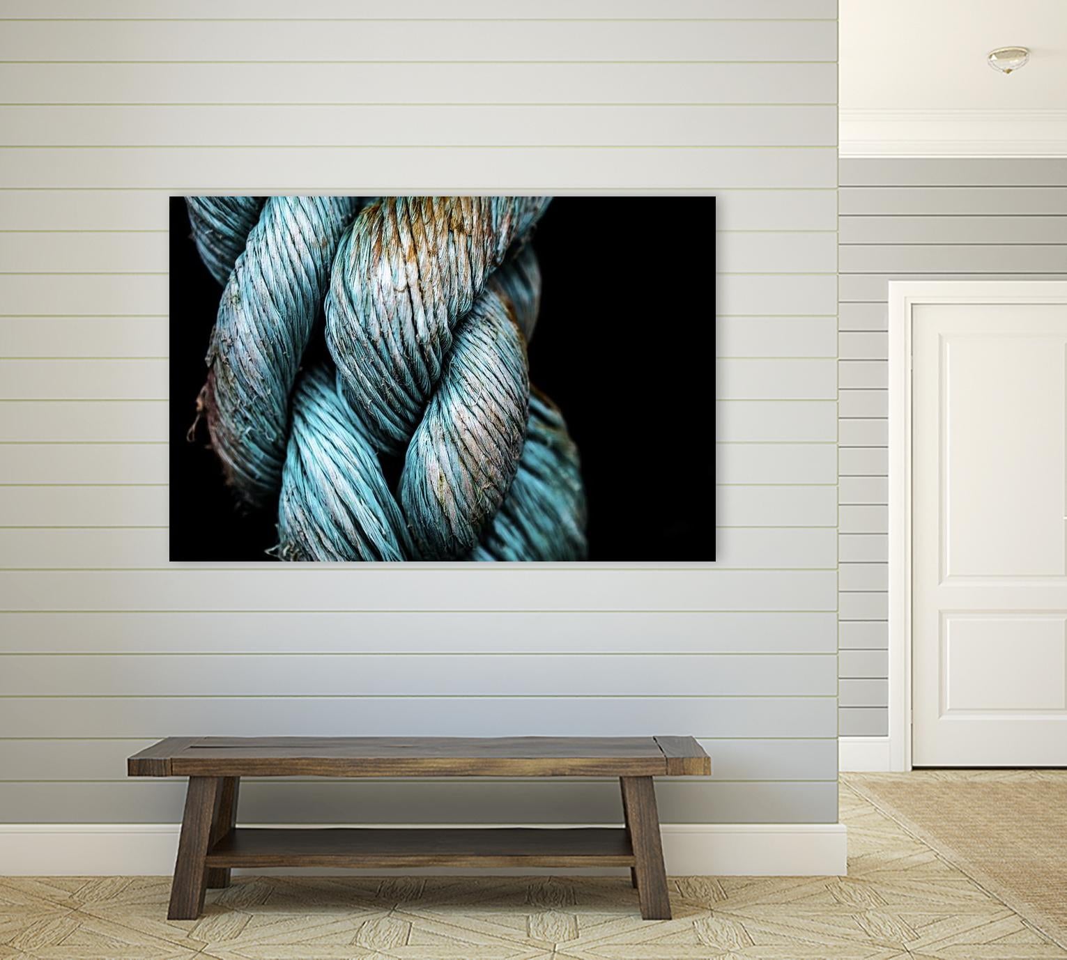 Ties that Bind by Melissa McClain on GIANT ART - black photo art