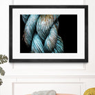 Ties that Bind by Melissa McClain on GIANT ART - black photo art