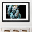 Ties that Bind by Melissa McClain on GIANT ART - black photo art