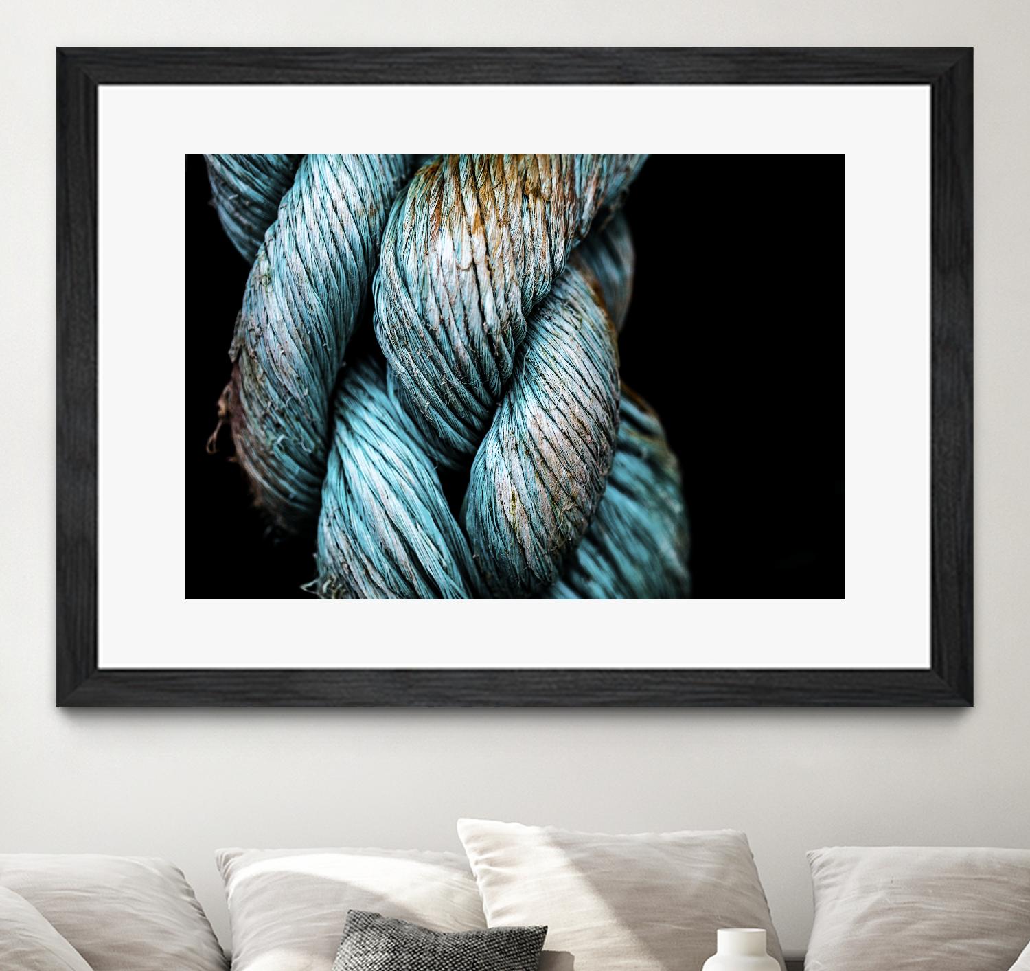 Ties that Bind by Melissa McClain on GIANT ART - black photo art