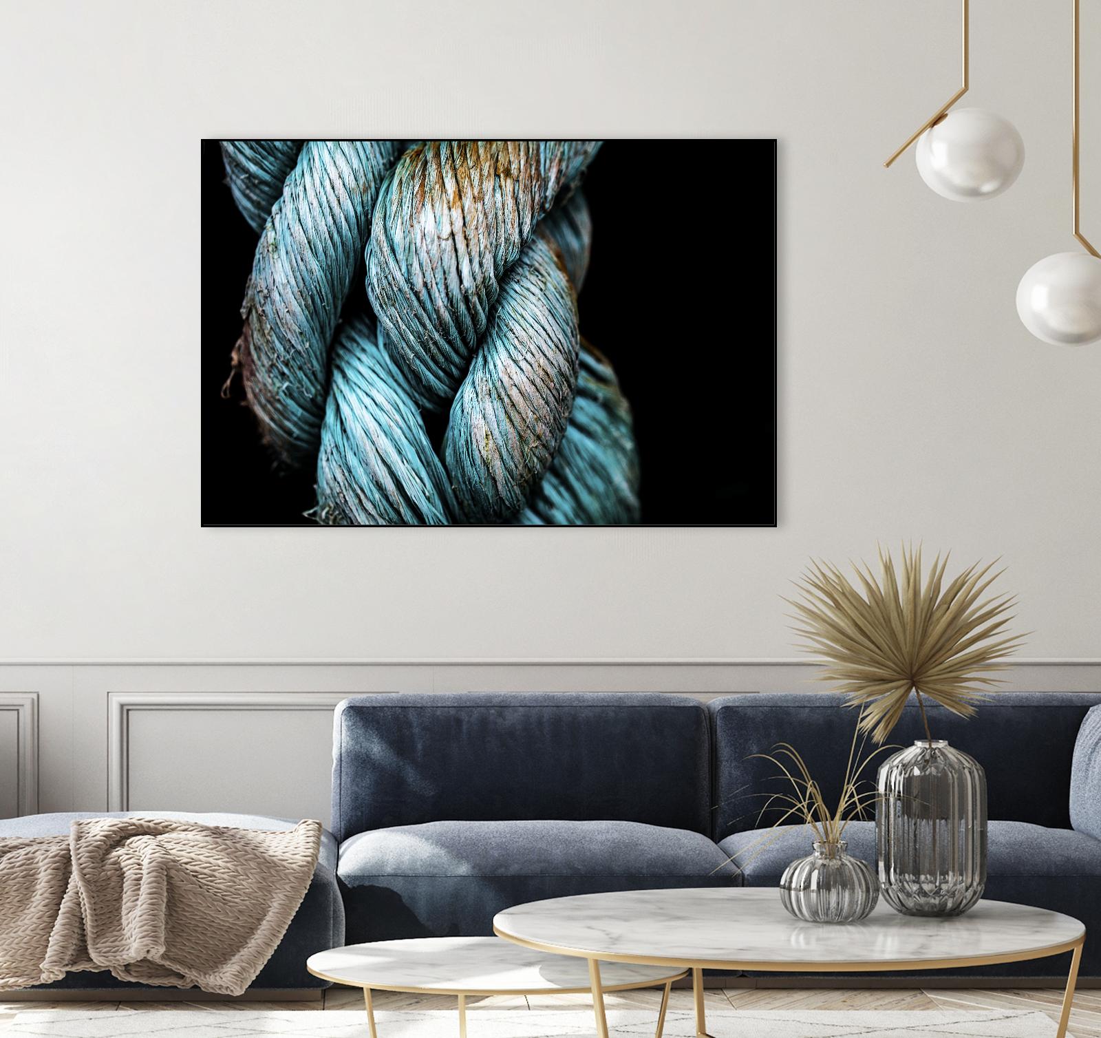 Ties that Bind by Melissa McClain on GIANT ART - black photo art