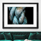 Ties that Bind by Melissa McClain on GIANT ART - black photo art