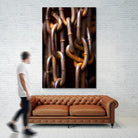 In Chains by Melissa McClain on GIANT ART - rust photo art