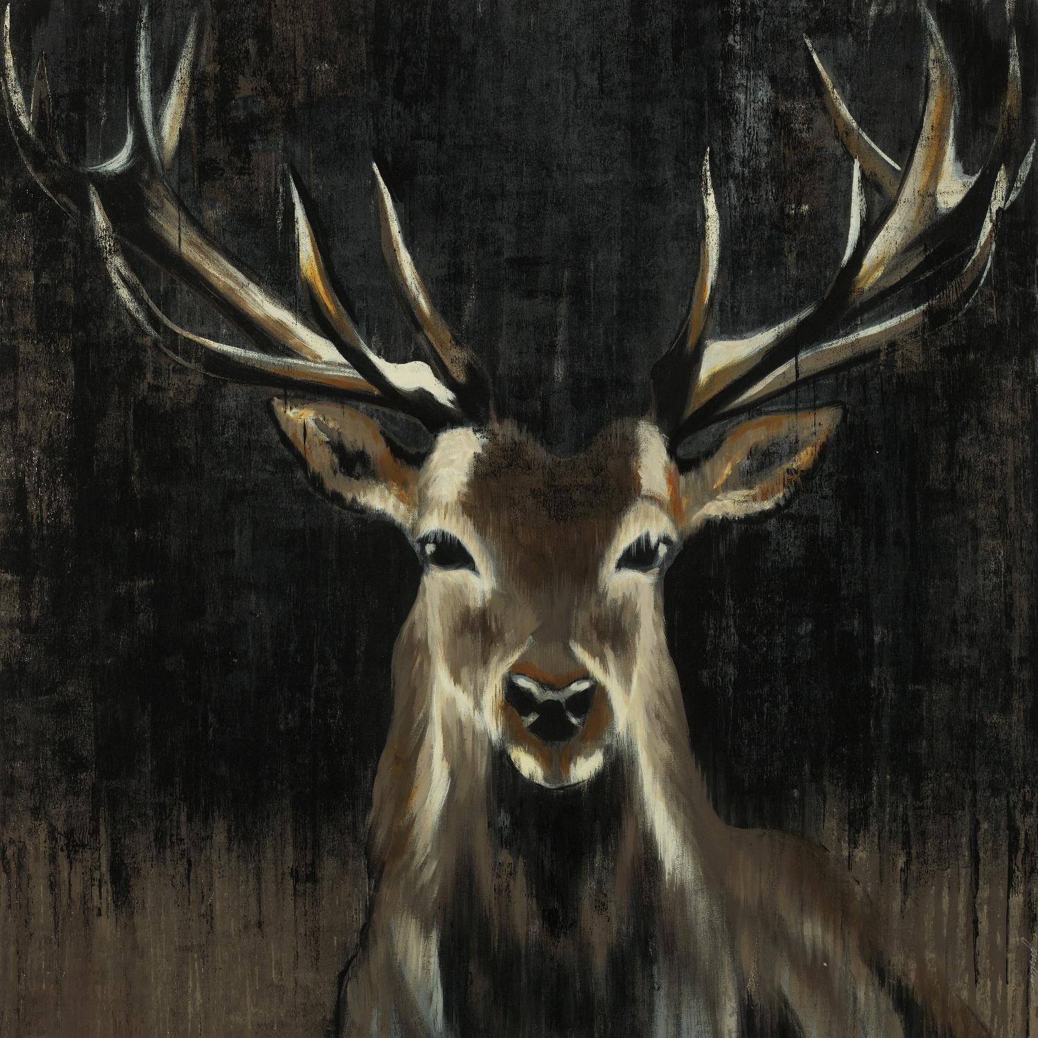 Young Buck by Liz Jardine on GIANT ART - black animals