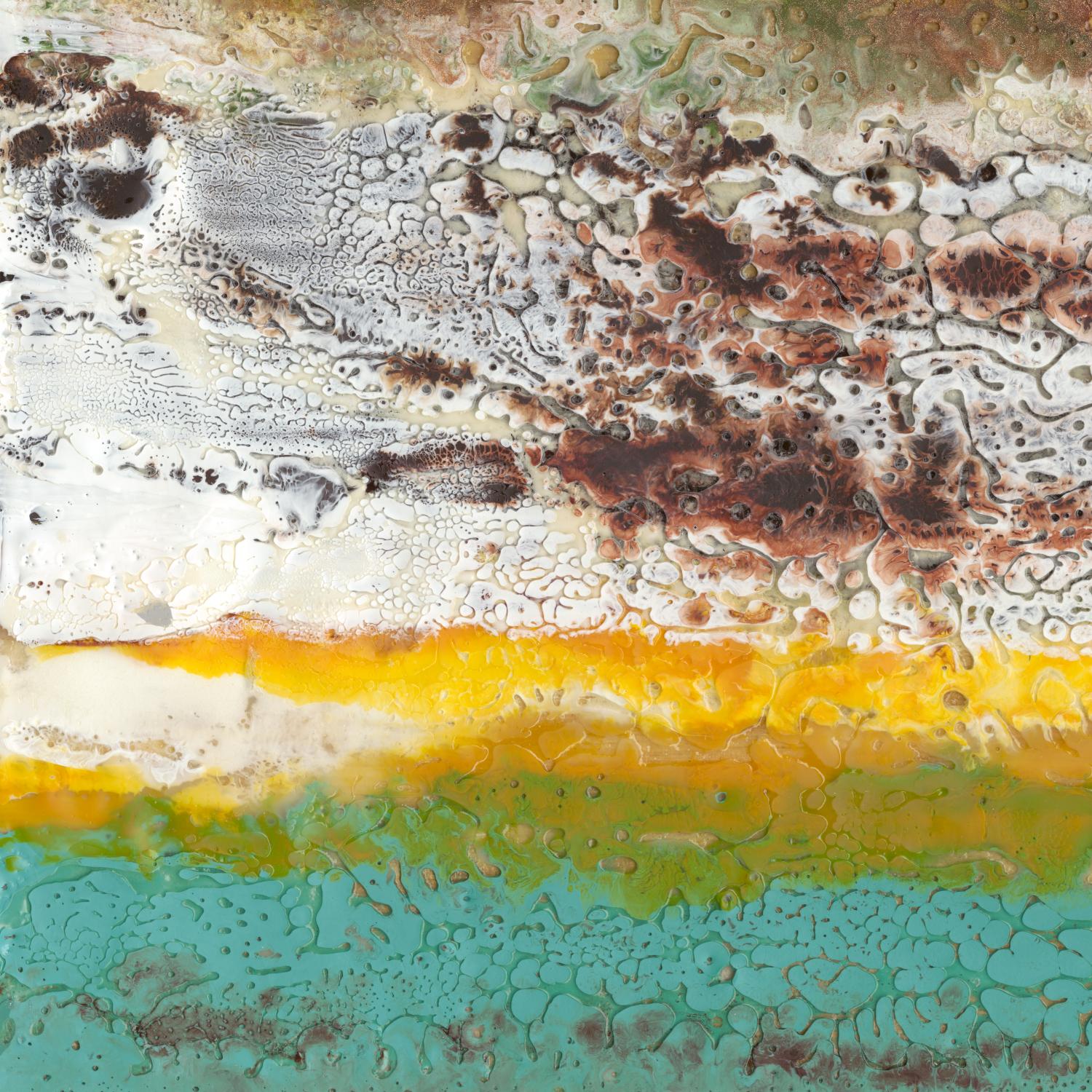 Arid I by Alicia Ludwig on GIANT ART - abstract