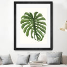 Tropical Breeze Leaves I by Naomi McCavitt on GIANT ART - green coastal & tropical greenery