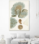 Coastal Curiosity V by Unknown on GIANT ART - green coastal & tropical abstract 