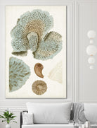 Coastal Curiosity V by Unknown on GIANT ART - green coastal & tropical abstract 