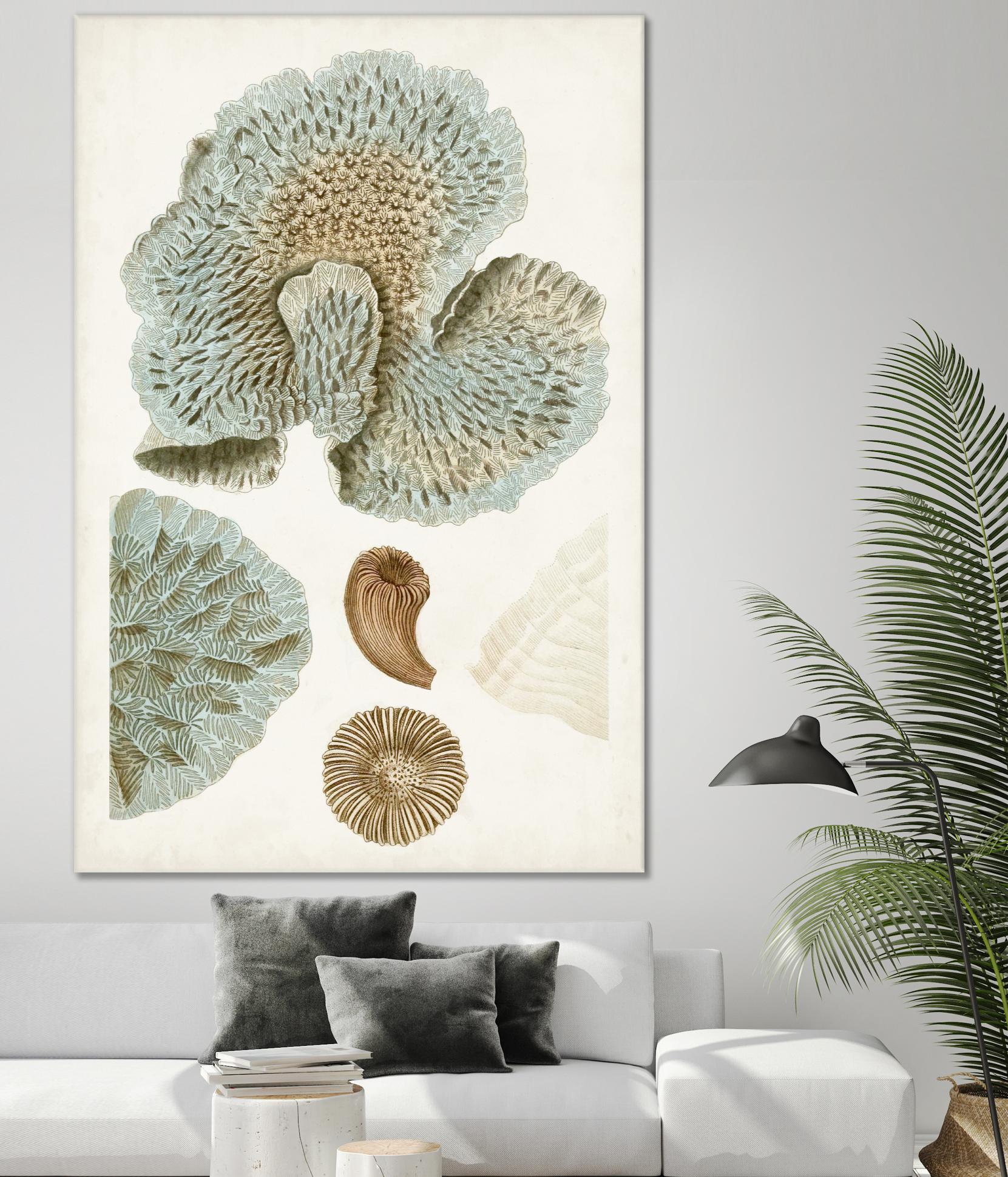 Coastal Curiosity V by Unknown on GIANT ART - green coastal & tropical abstract 