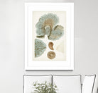 Coastal Curiosity V by Unknown on GIANT ART - green coastal & tropical abstract 