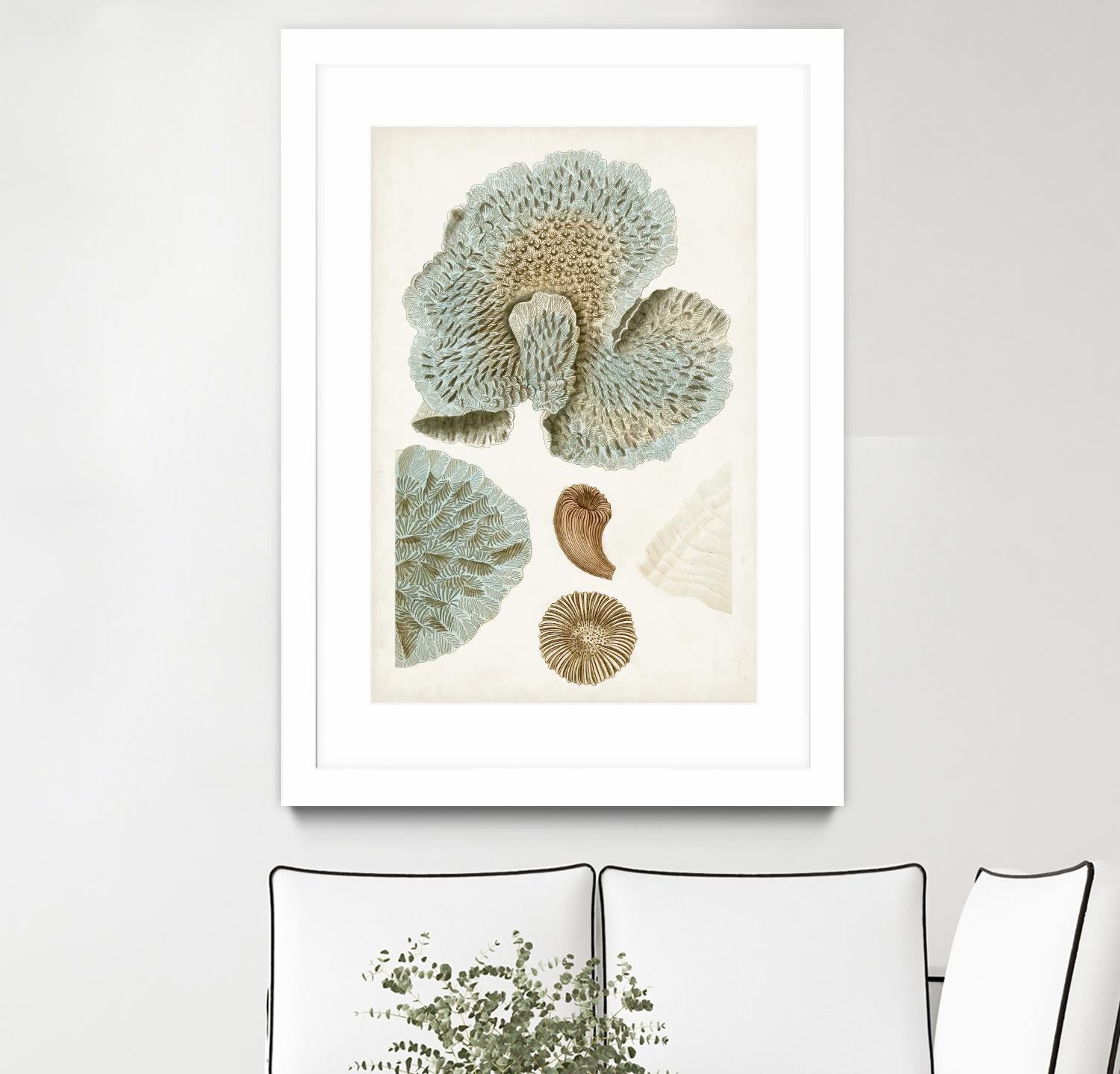 Coastal Curiosity V by Unknown on GIANT ART - green coastal & tropical abstract 