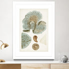 Coastal Curiosity V by Unknown on GIANT ART - green coastal & tropical abstract 