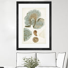 Coastal Curiosity V by Unknown on GIANT ART - green coastal & tropical abstract 