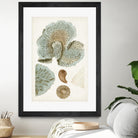 Coastal Curiosity V by Unknown on GIANT ART - green coastal & tropical abstract 