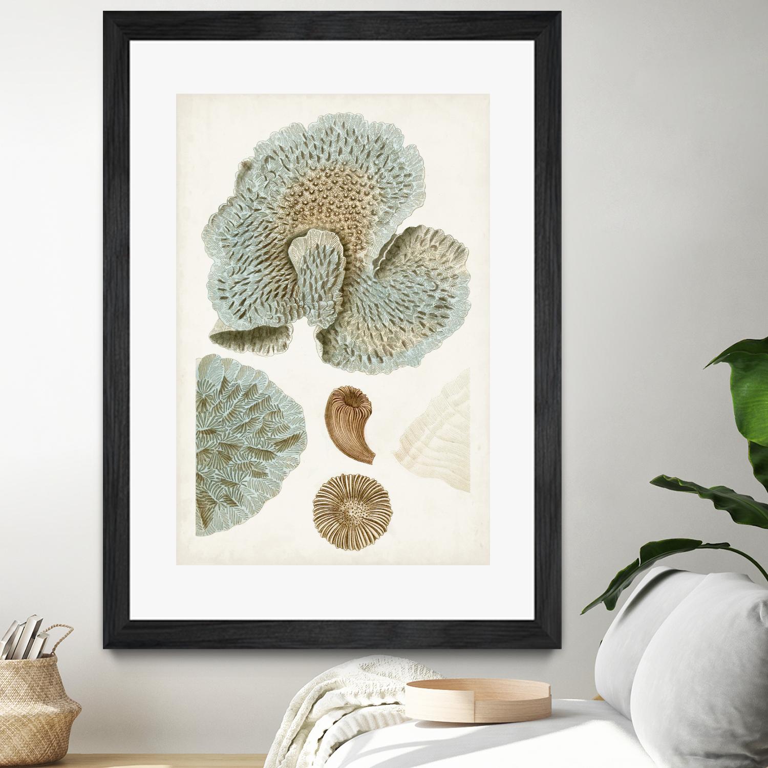 Coastal Curiosity V by Unknown on GIANT ART - green coastal & tropical abstract 