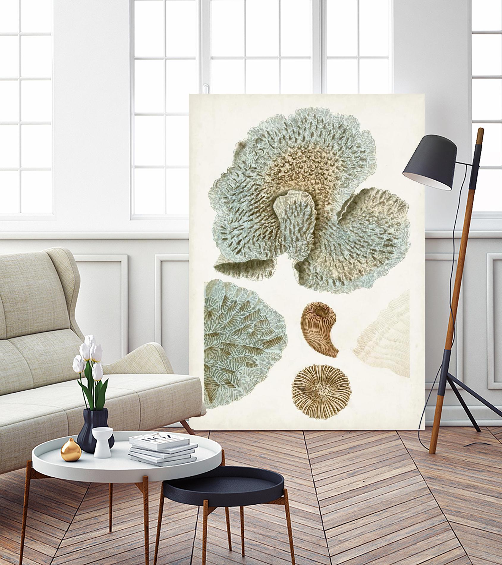 Coastal Curiosity V by Unknown on GIANT ART - green coastal & tropical abstract 