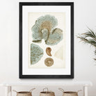 Coastal Curiosity V by Unknown on GIANT ART - green coastal & tropical abstract 