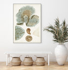 Coastal Curiosity V by Unknown on GIANT ART - green coastal & tropical abstract 