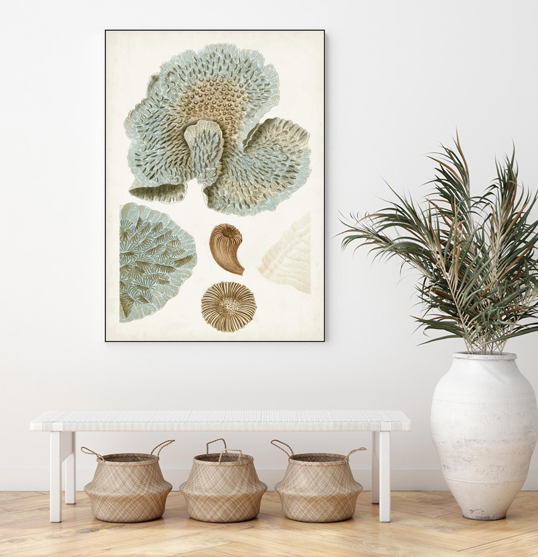 Coastal Curiosity V by Unknown on GIANT ART - green coastal & tropical abstract 