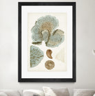 Coastal Curiosity V by Unknown on GIANT ART - green coastal & tropical abstract 