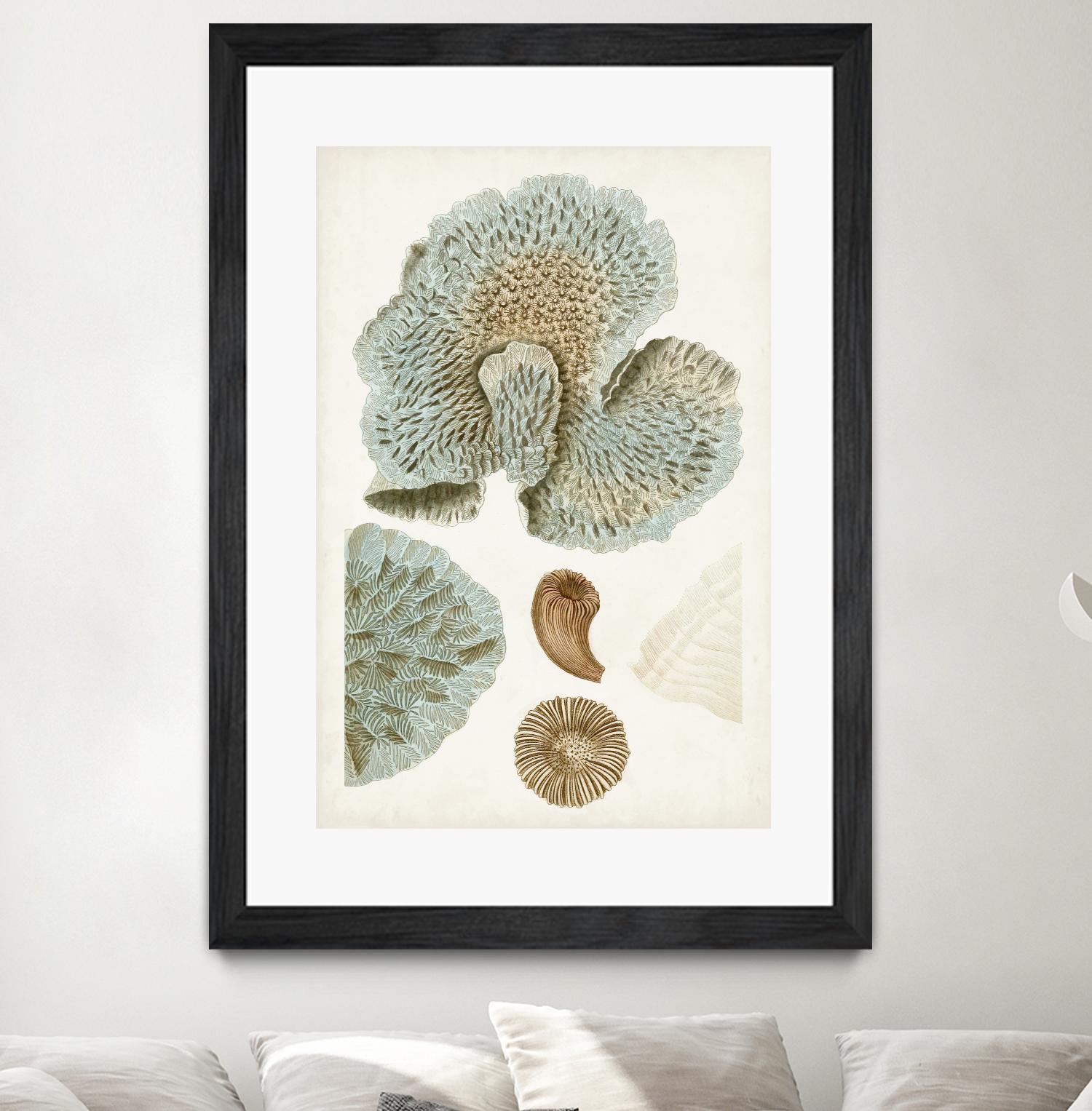 Coastal Curiosity V by Unknown on GIANT ART - green coastal & tropical abstract 