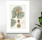 Coastal Curiosity V by Unknown on GIANT ART - green coastal & tropical abstract 