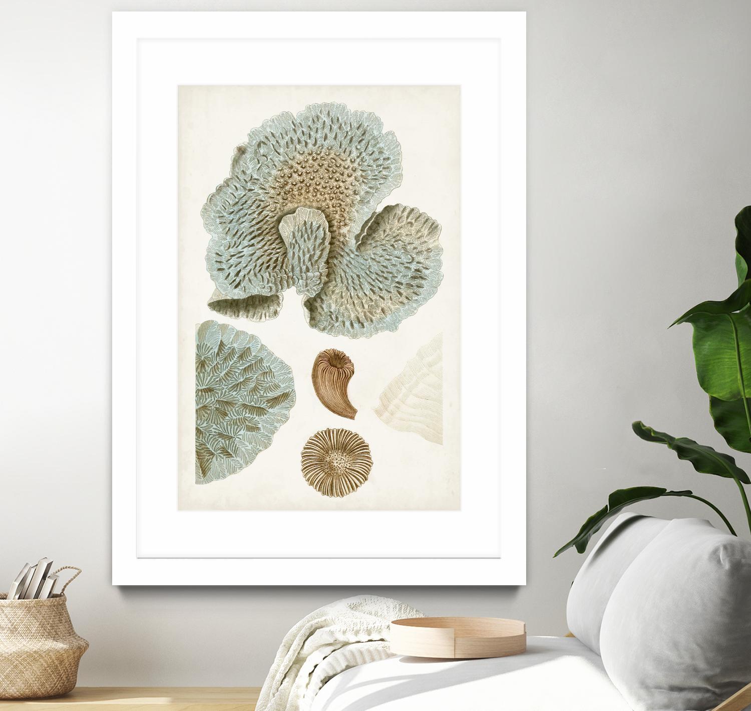 Coastal Curiosity V by Unknown on GIANT ART - green coastal & tropical abstract 