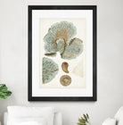 Coastal Curiosity V by Unknown on GIANT ART - green coastal & tropical abstract 