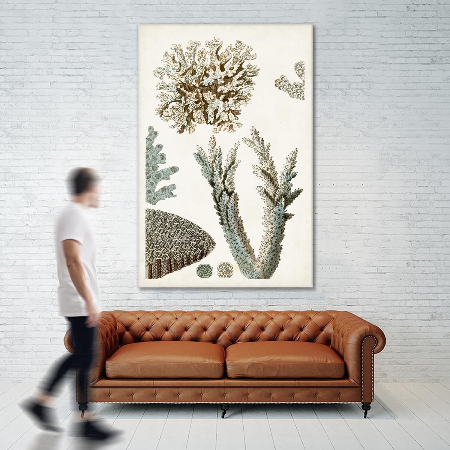 Coastal Curiosity VI by Unknown on GIANT ART - beige coastal & tropical sea