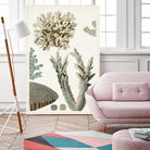 Coastal Curiosity VI by Unknown on GIANT ART - beige coastal & tropical sea