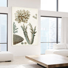 Coastal Curiosity VI by Unknown on GIANT ART - beige coastal & tropical sea