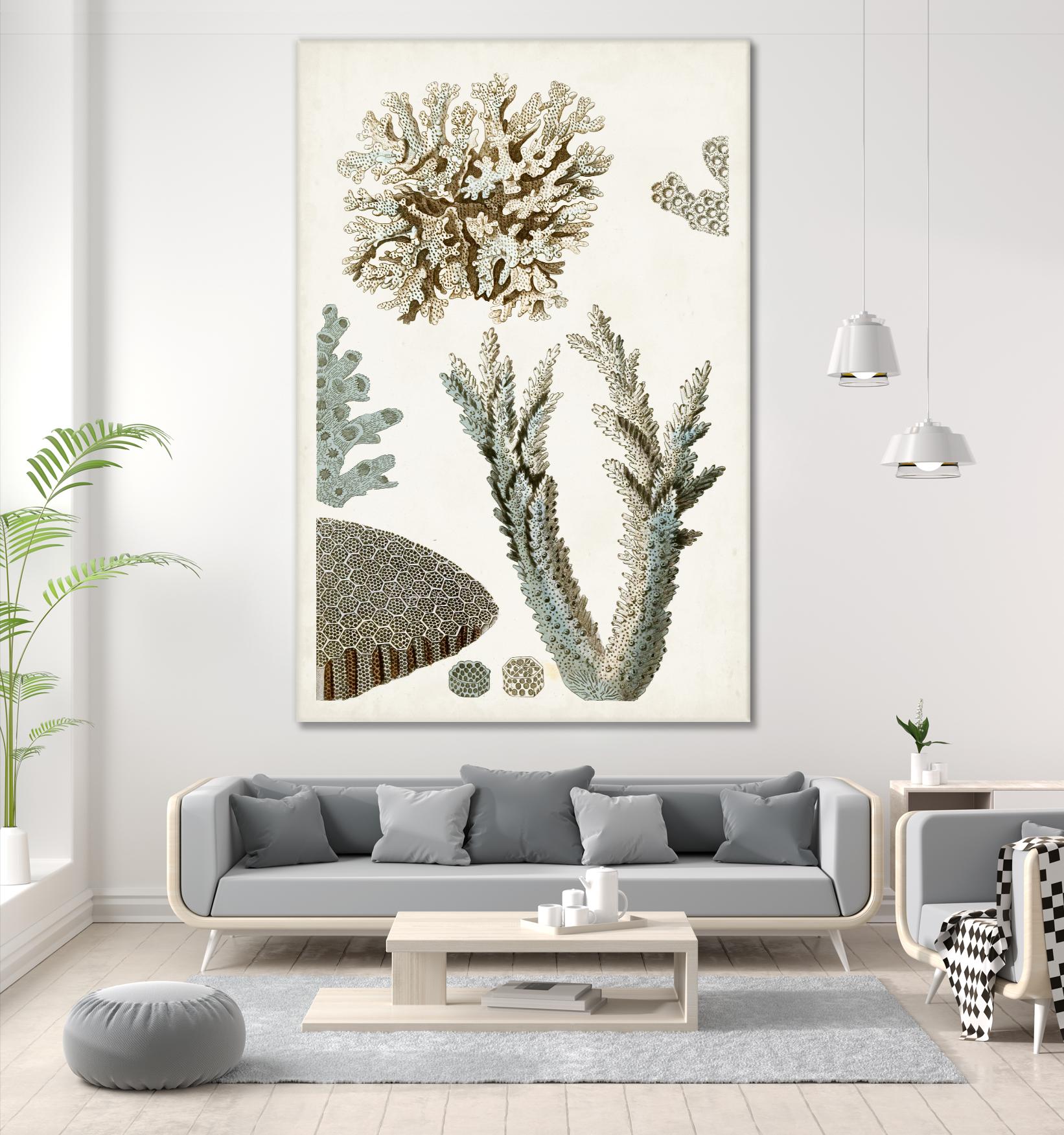 Coastal Curiosity VI by Unknown on GIANT ART - beige coastal & tropical sea