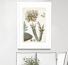 Coastal Curiosity VI by Unknown on GIANT ART - beige coastal & tropical sea