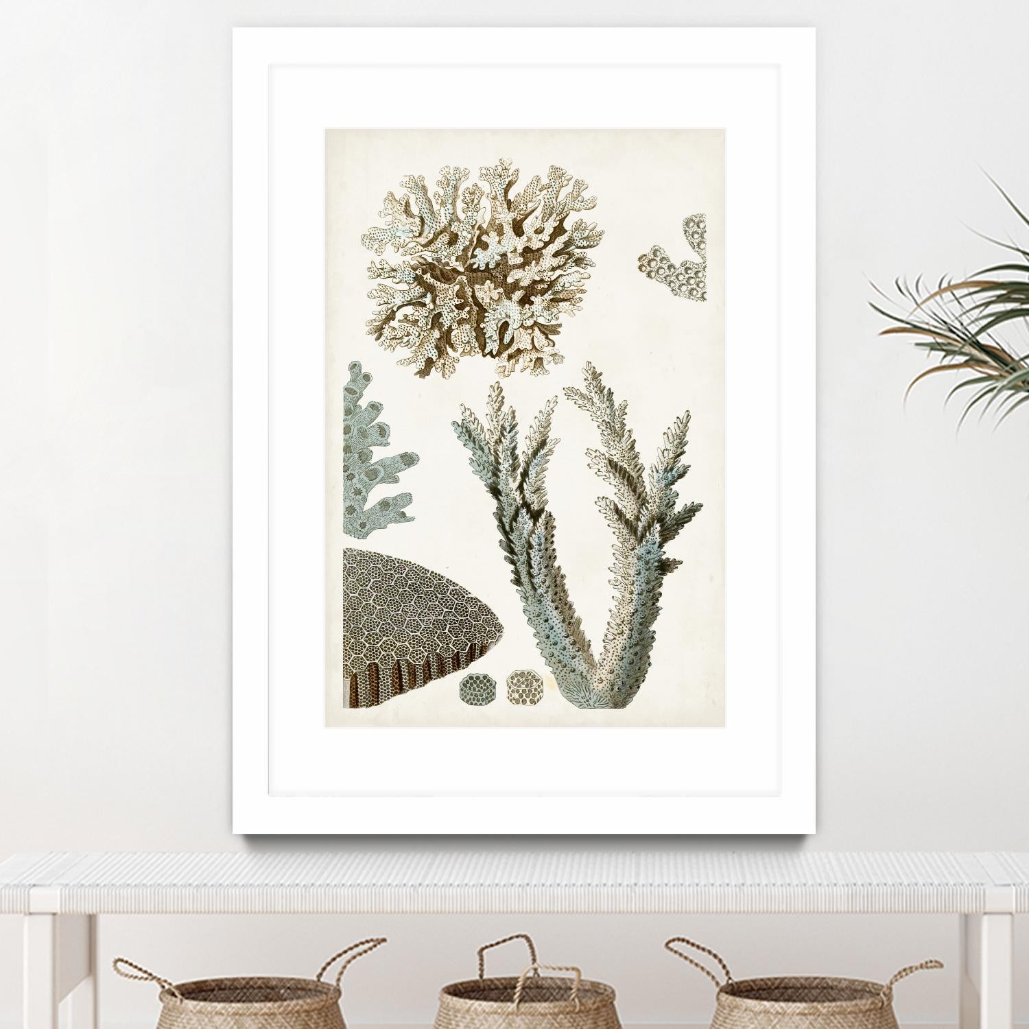 Coastal Curiosity VI by Unknown on GIANT ART - beige coastal & tropical sea