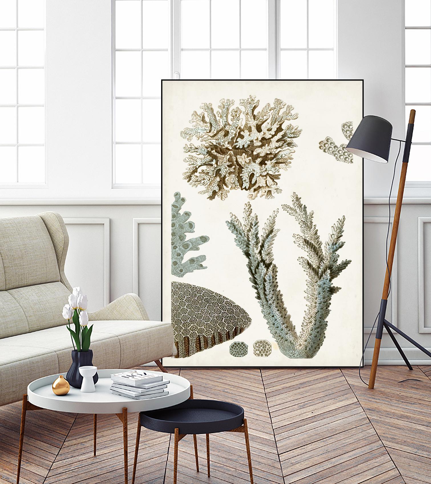 Coastal Curiosity VI by Unknown on GIANT ART - beige coastal & tropical sea